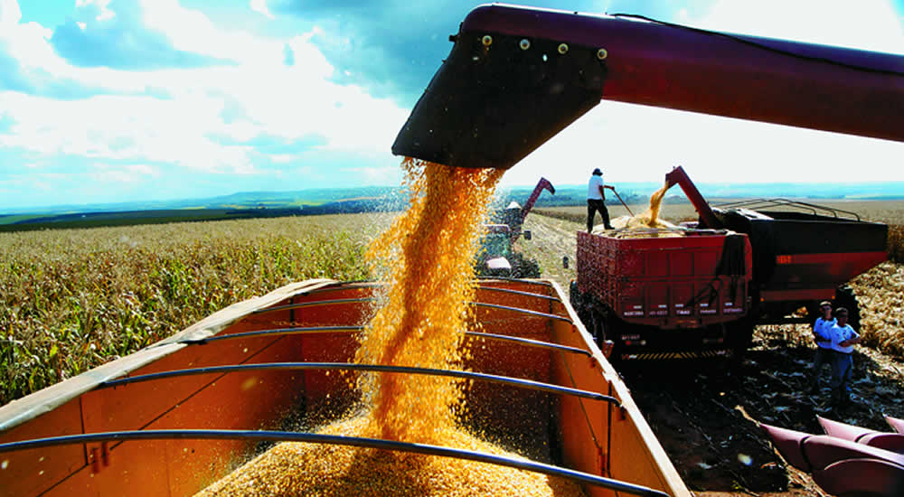 Produção de grãos em Goiás deve crescer 12,6% em 2023