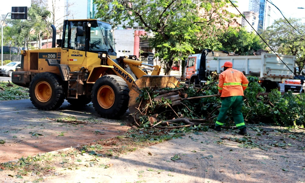 Chuva em Goiânia causa alagamento e queda de árvores