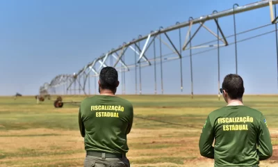 Secretaria de Meio Ambiente abre concurso com 98 vagas