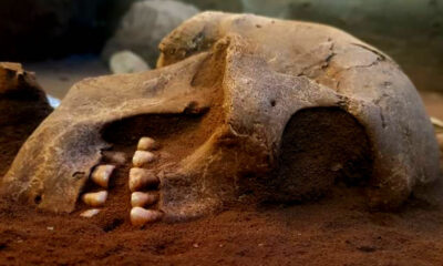 Esqueleto humano de 12 mil anos foi encontrado em Goiás