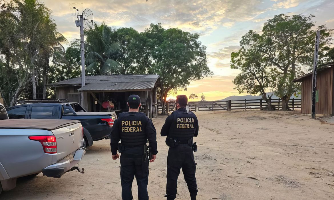 PF combate desmatamento para criação de gado na floresta amazônica