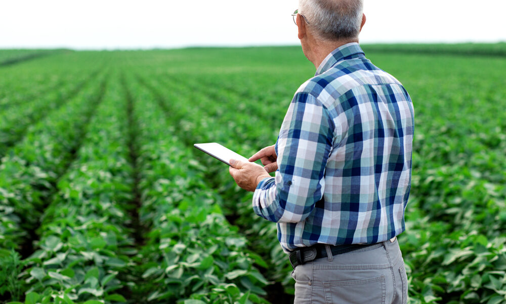 As cidades de Goiás entre as mais ricas do agronegócio