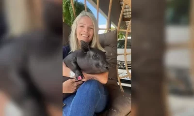 Mulher quer o direito de criar porca como animal pet