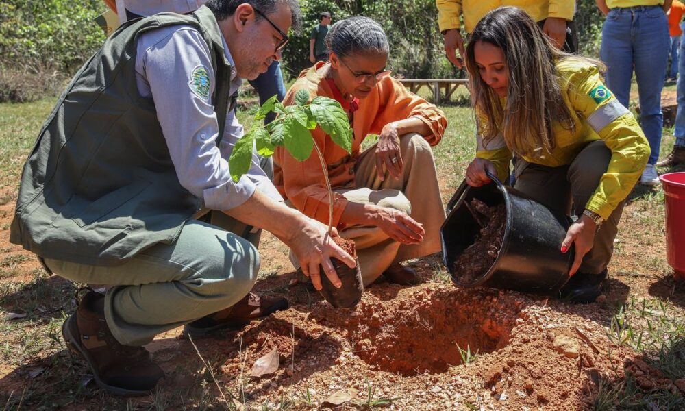 quer evitar licença ambiental de longo prazo no Cerrado