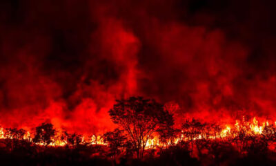 fogo em são paulo