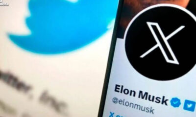 Musk fura o bloqueio do X e falhas da Anatel são expostas