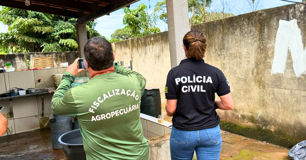 Polícia apreende queijo produzido em laticínio clandestino