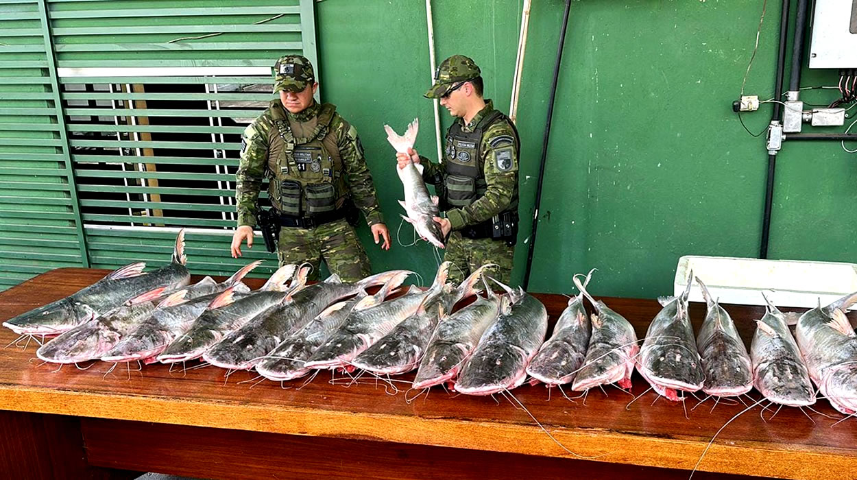 Operação Piracema termina com 129 pessoas presas